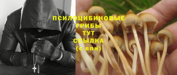 кокаин премиум Богданович