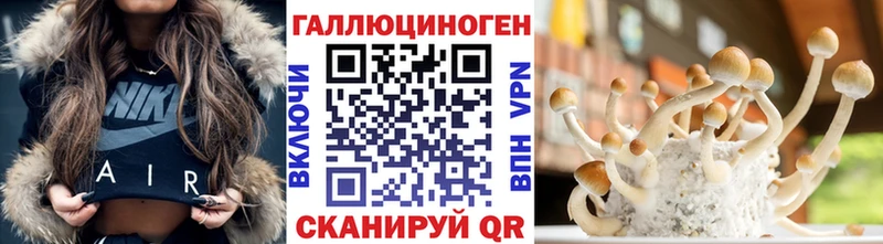 Галлюциногенные грибы GOLDEN TEACHER  цена наркотик  Тюмень 
